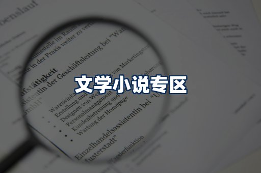 文学小说PDF展示